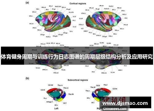 体育健身周期与训练行为日志图谱的周期层级结构分析及应用研究